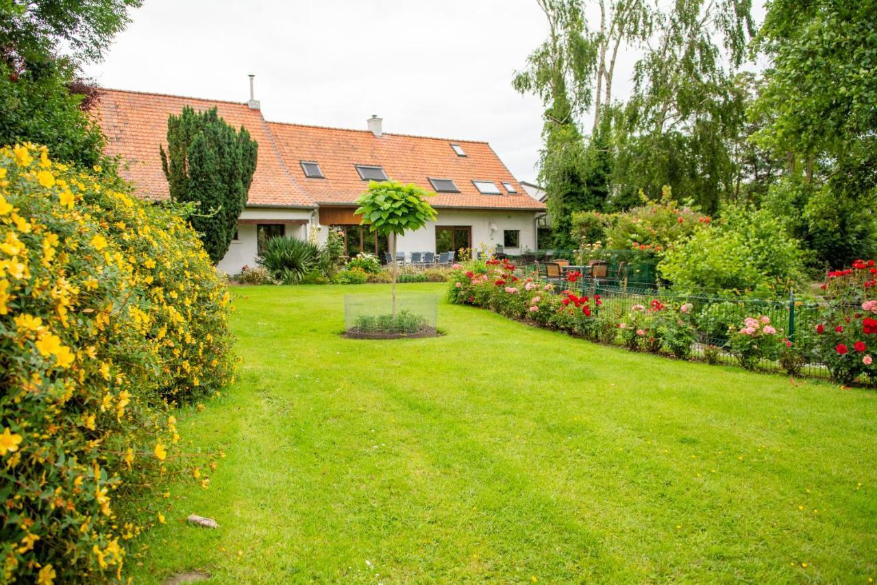 Poezelhoekvallei Appartement Zonnebeke Eksteriør billede